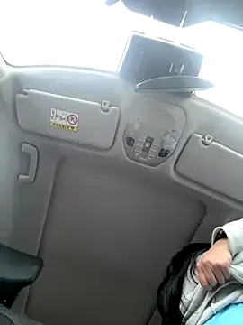 Michelle_Zoe — Fingers in my pussy in my car